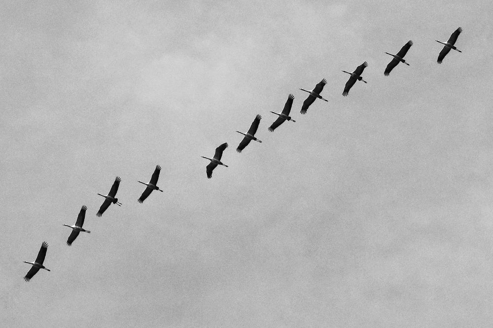 Photograph by Alexander Mishuris