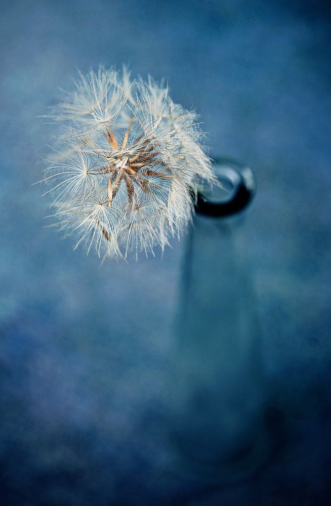 Photograph by Monika Fiba