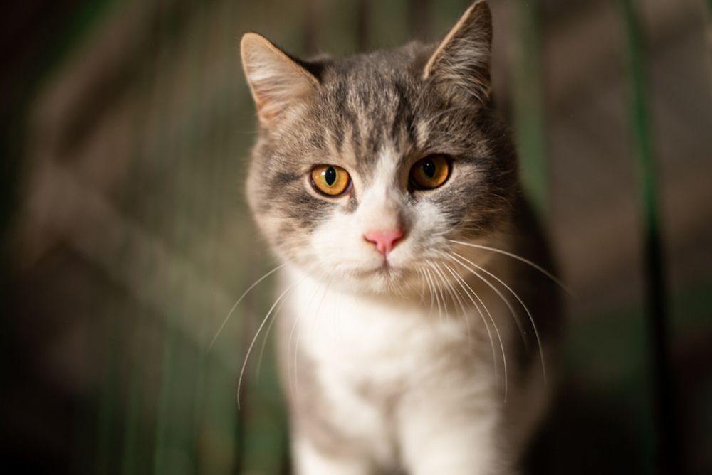 Photograph by Валентина