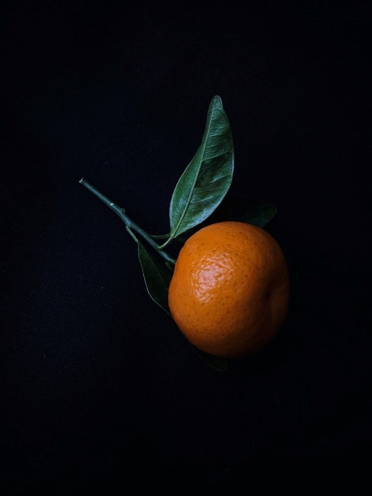 Photograph by Ольга Литвинова
