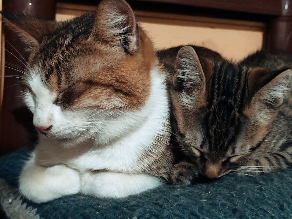 Фотография автора Таня Долгушева