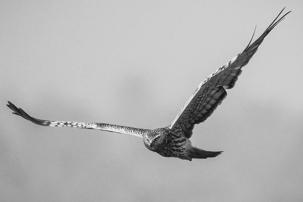 Фотография автора Abhishek Ghosh