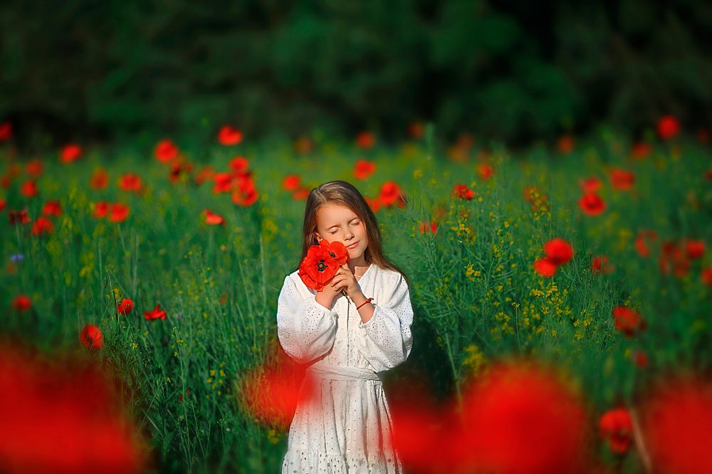 Photograph by Кулик Ольга