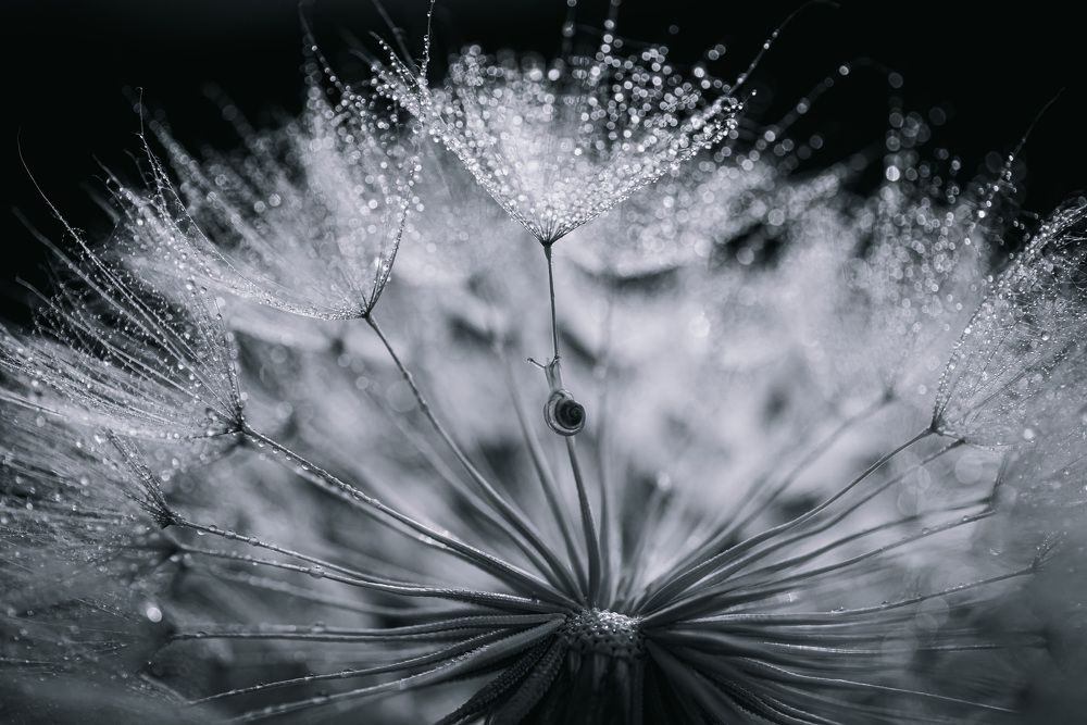 Photograph by Анна Бобкова