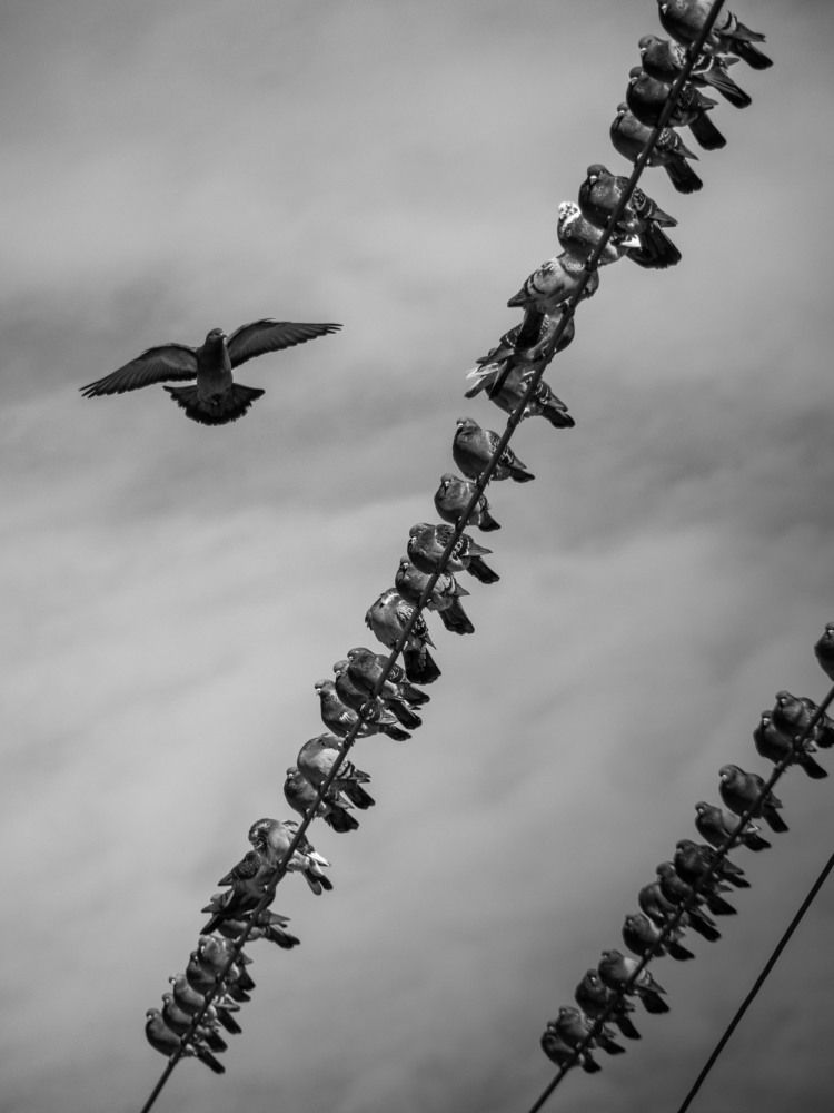 Photograph by Доляна Ашкова