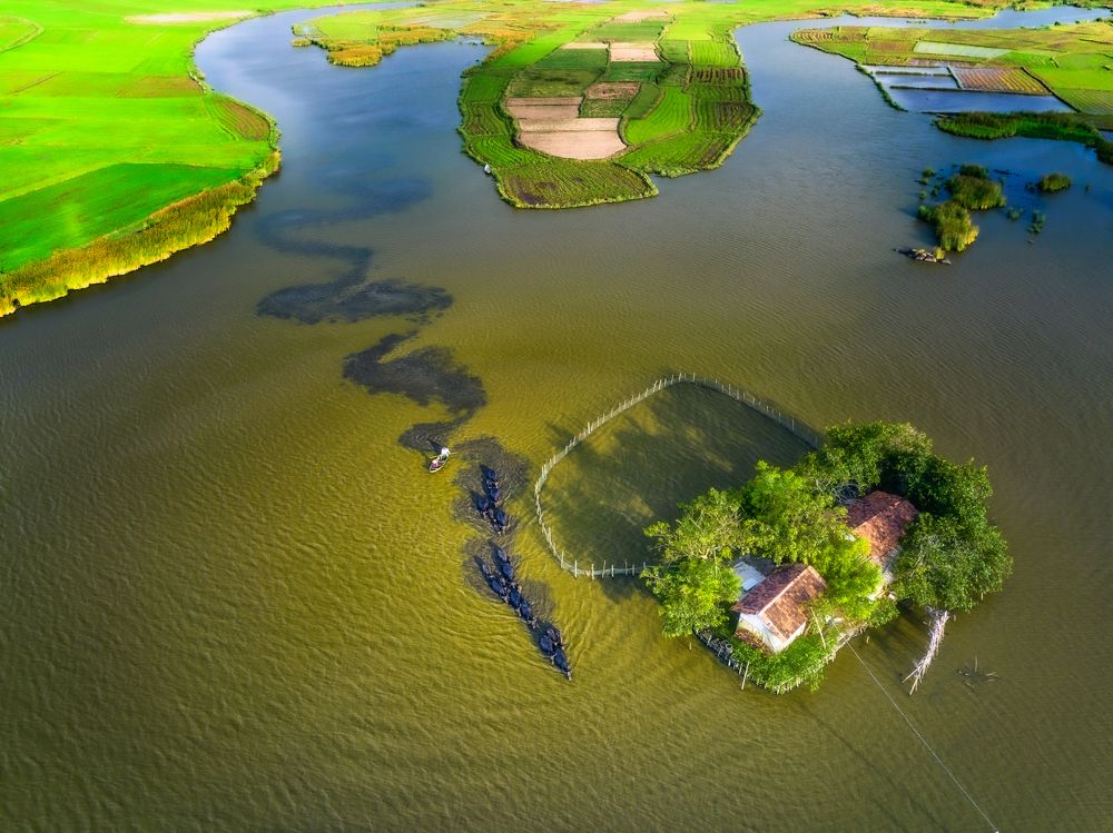 Photograph by Tuấn Nguyễn Tấn