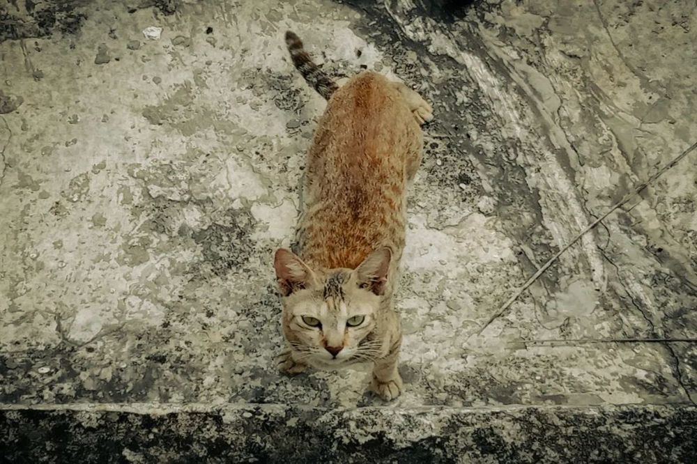 Photograph by Praveen