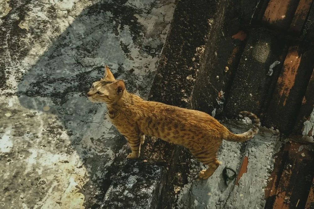 Photograph by Praveen