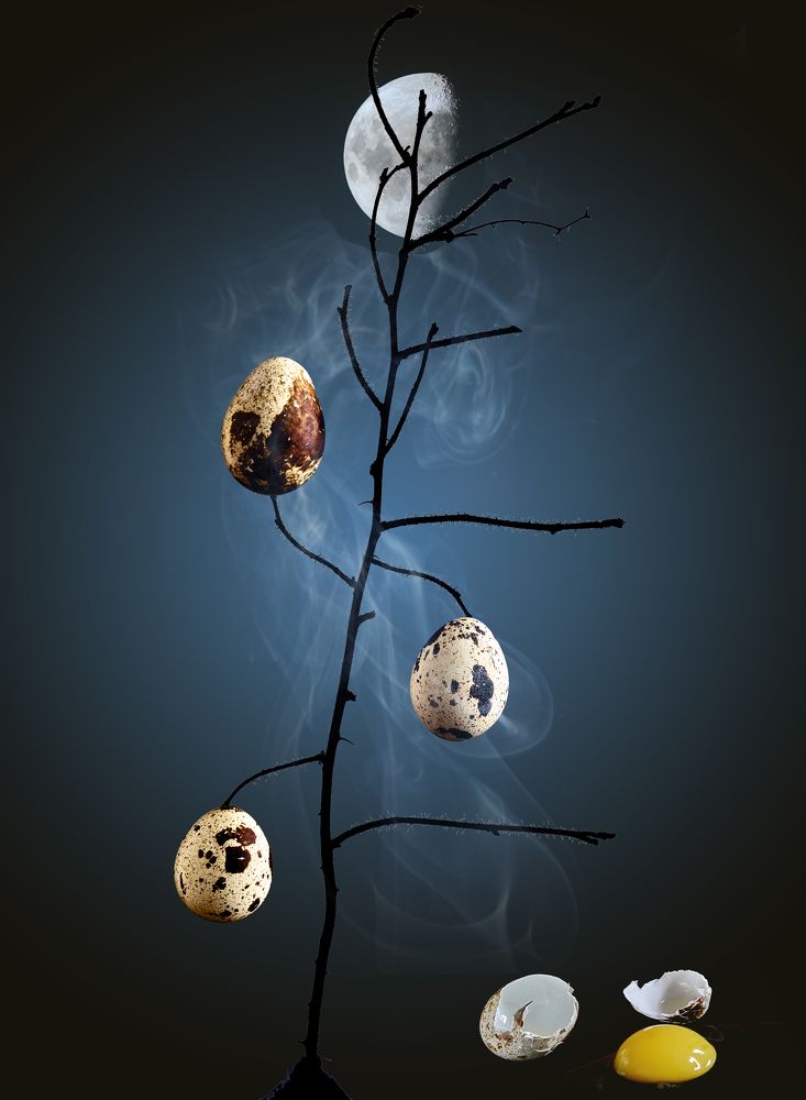 Photograph by Aleksandr Belov