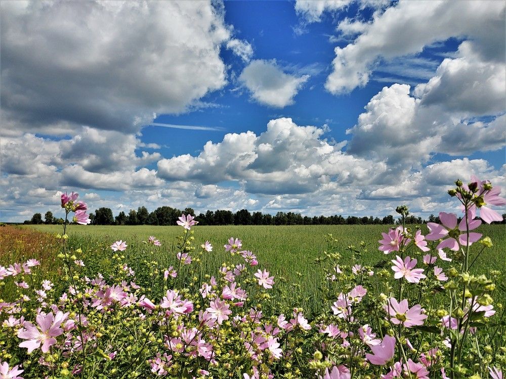 Photograph by Николай Останин