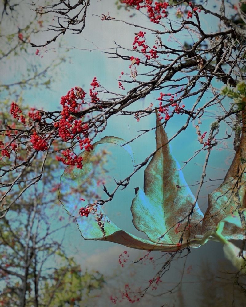 Photograph by Ольга Литвинова