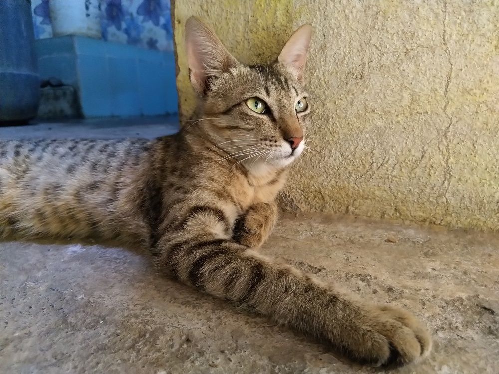 Photograph by sumit sitole