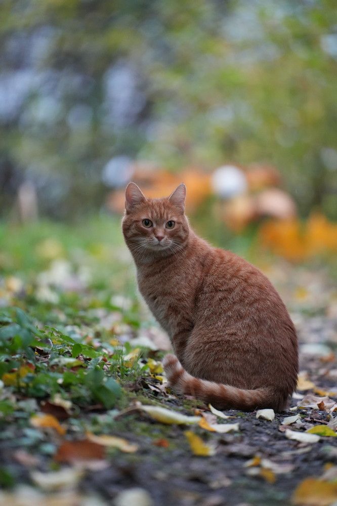 Photograph by Олеся Владимирова