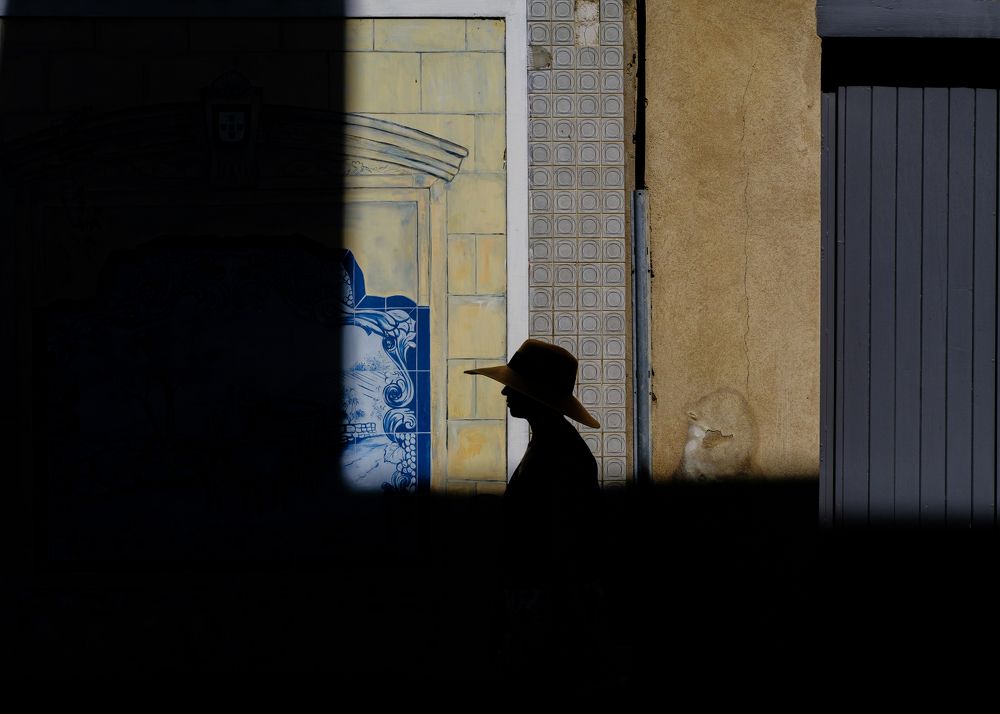 Фотография автора Vincenzo Barone