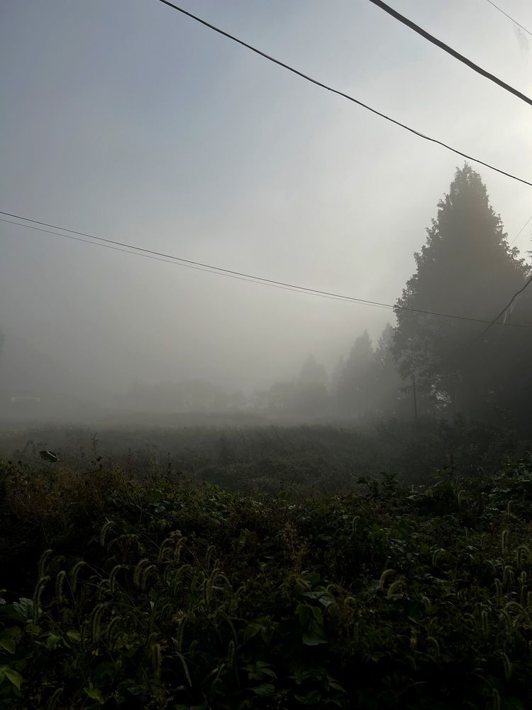 Photograph by Дарья