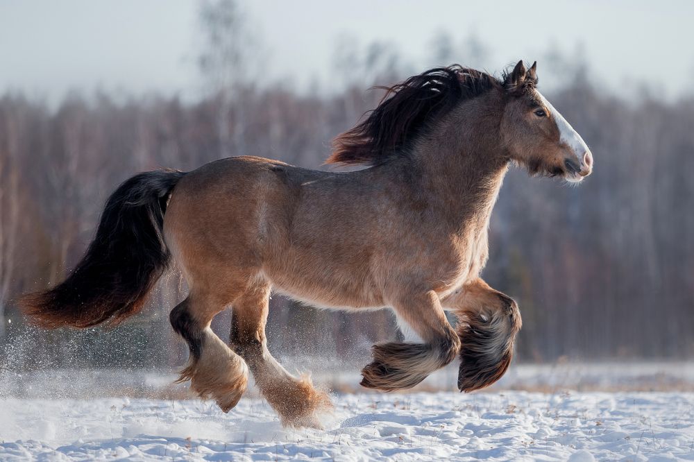 Фотография автора Олеся Евгеньевна