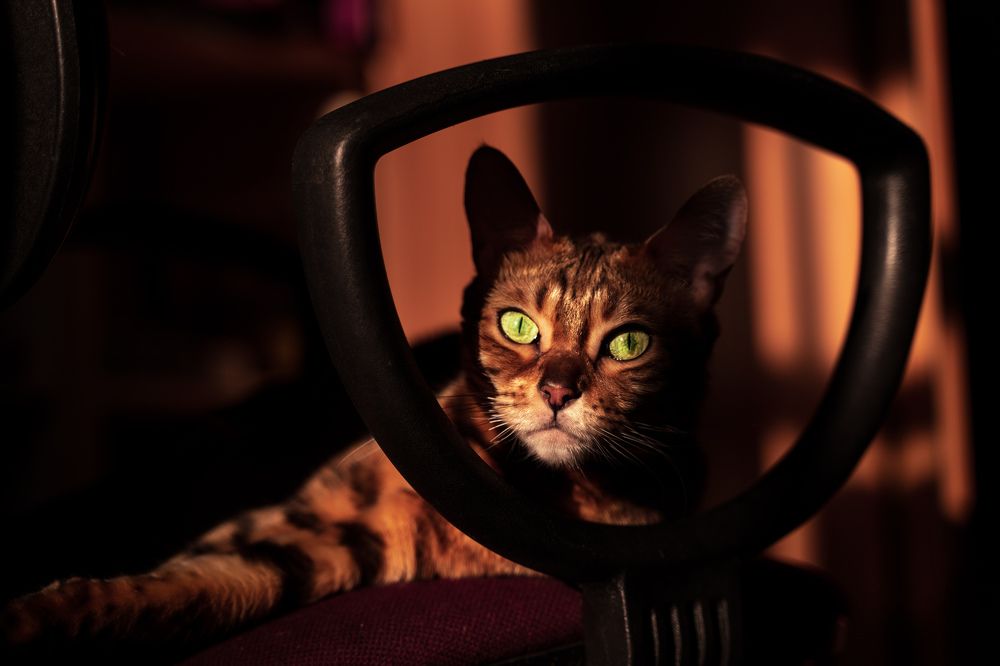 Photograph by Damir Sadekov