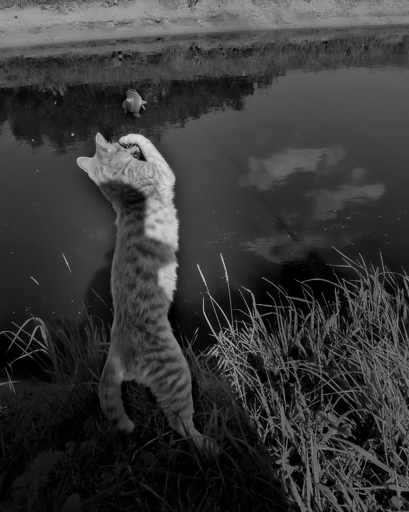 Photograph by Наталья Балабанова