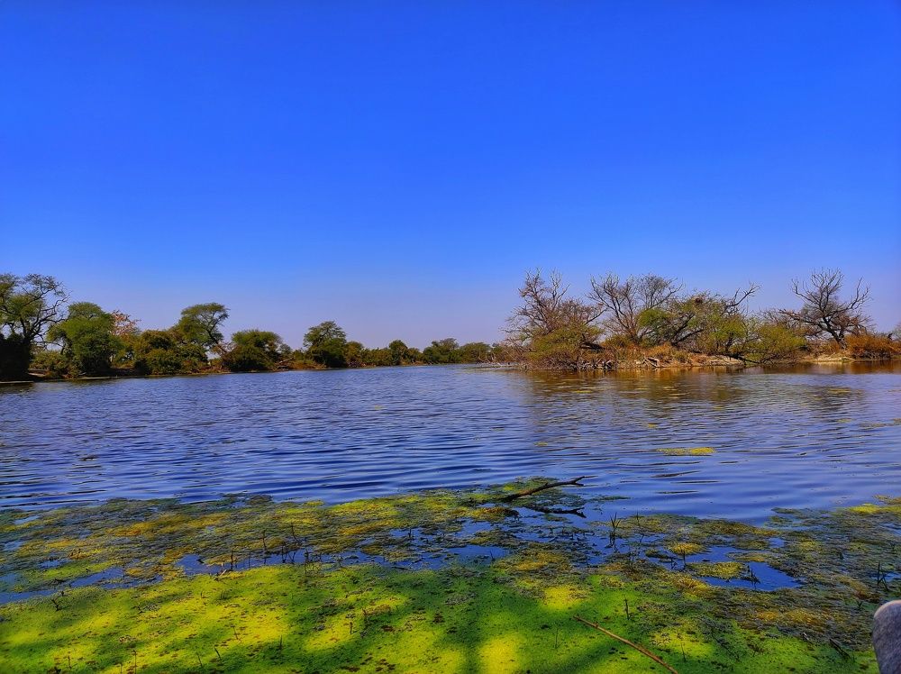 Photograph by Rima Singha Roy