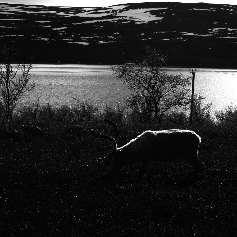 Photograph by NILESH TAILOR