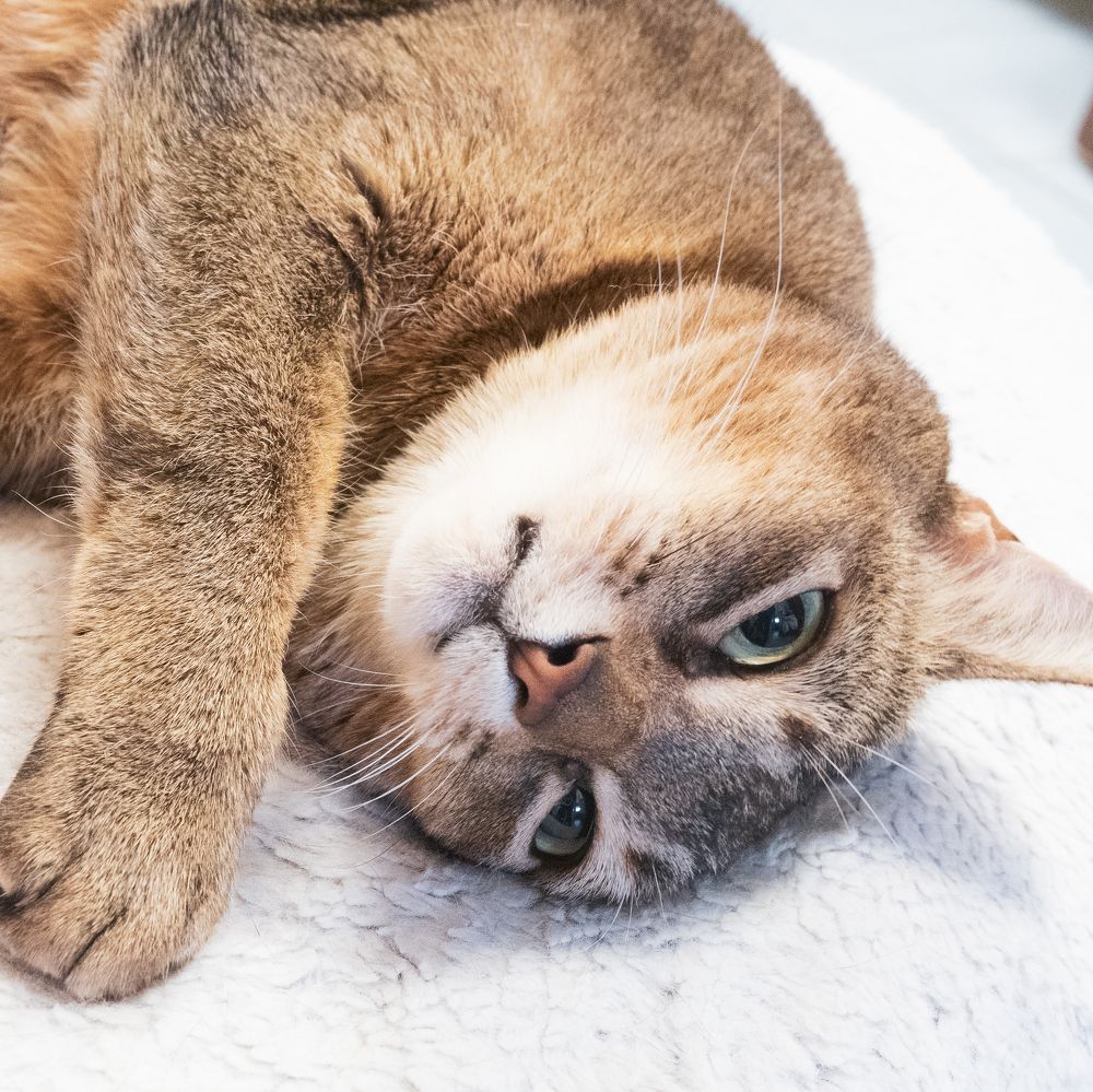 Photograph by NILESH TAILOR