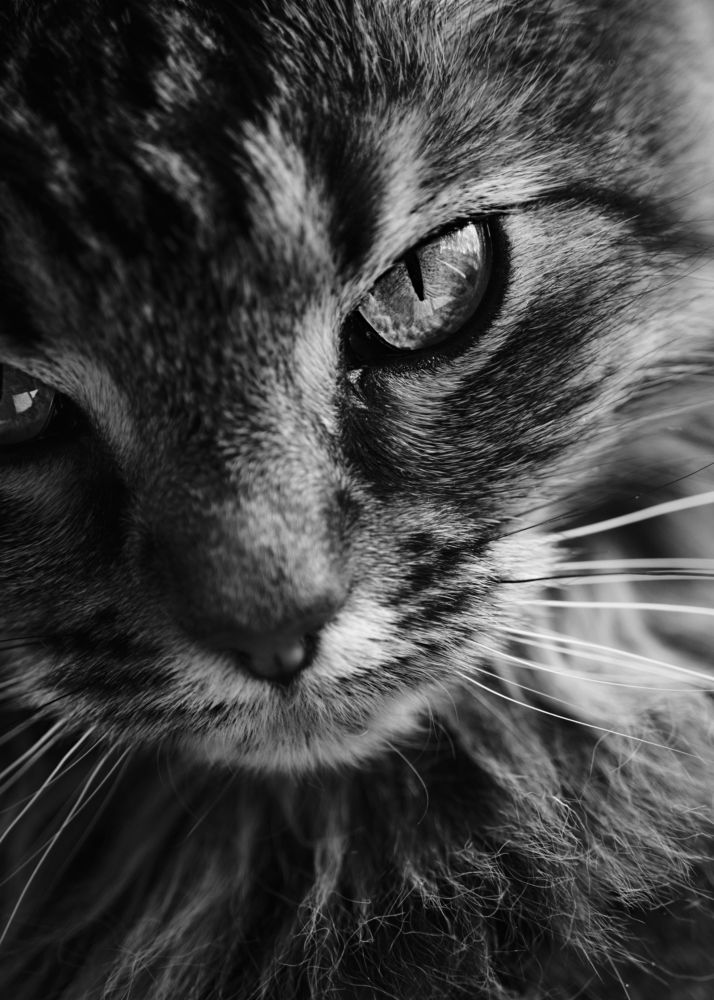 Photograph by Виктория Колышева