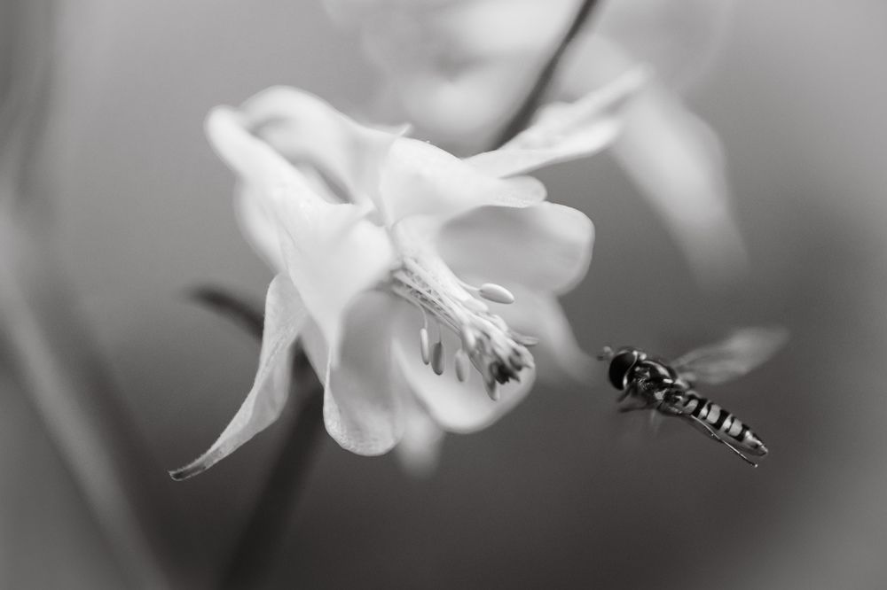 Photograph by Александр Казак