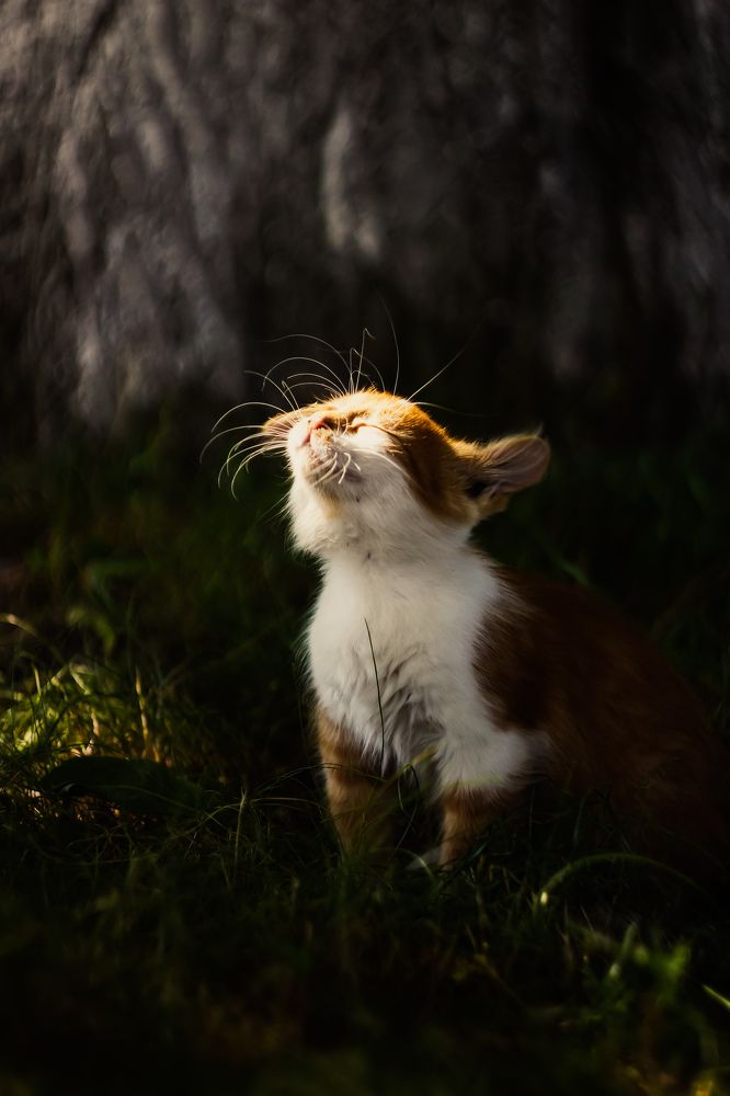 Photograph by Александр Казак