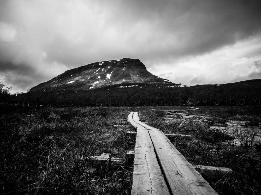 Photograph by NILESH TAILOR