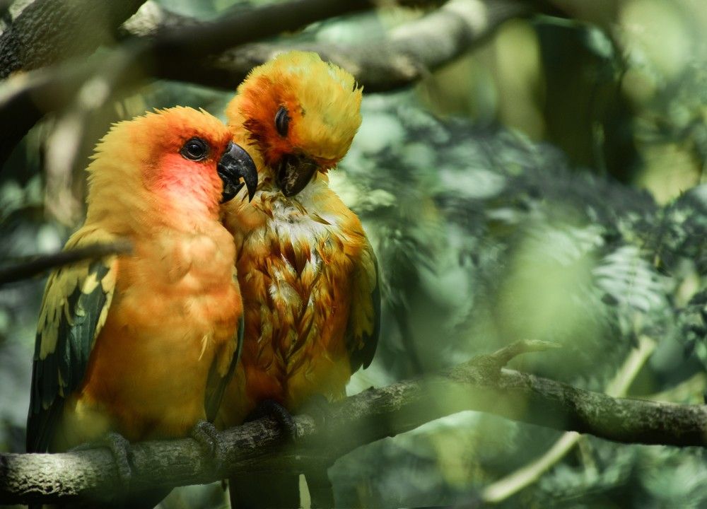 Photograph by Abhishek Yadav