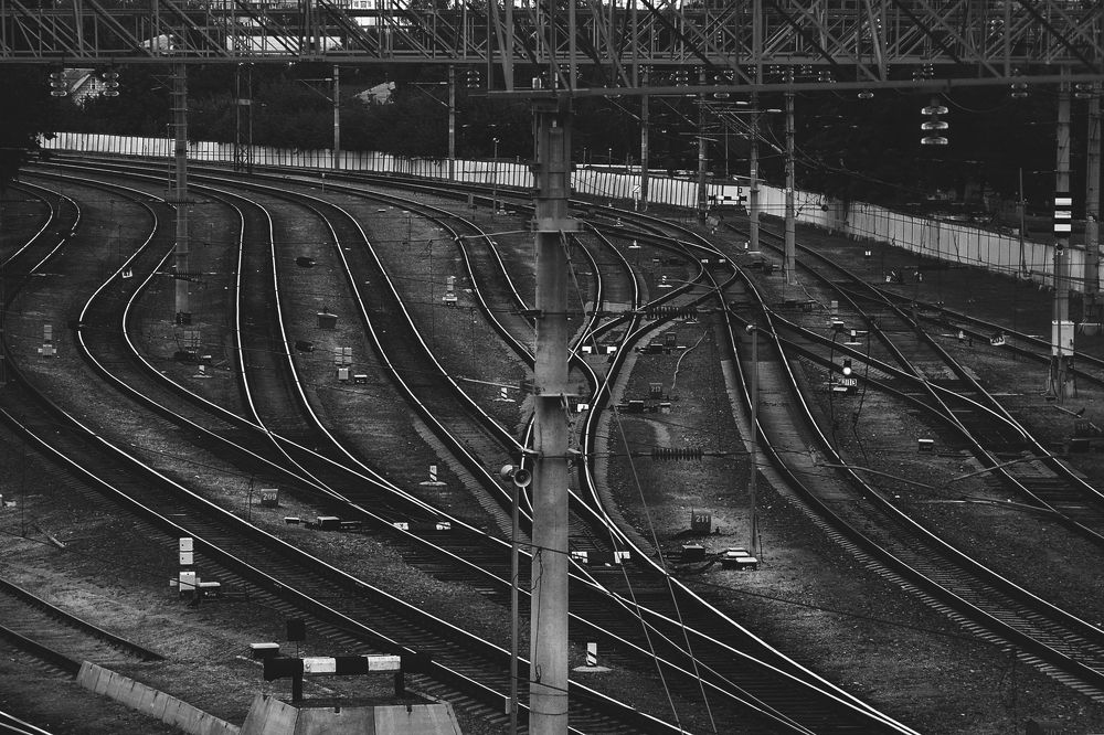 Photograph by Алексейчик Ольга