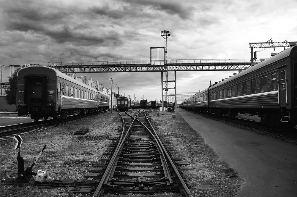 Photograph by Алексейчик Ольга