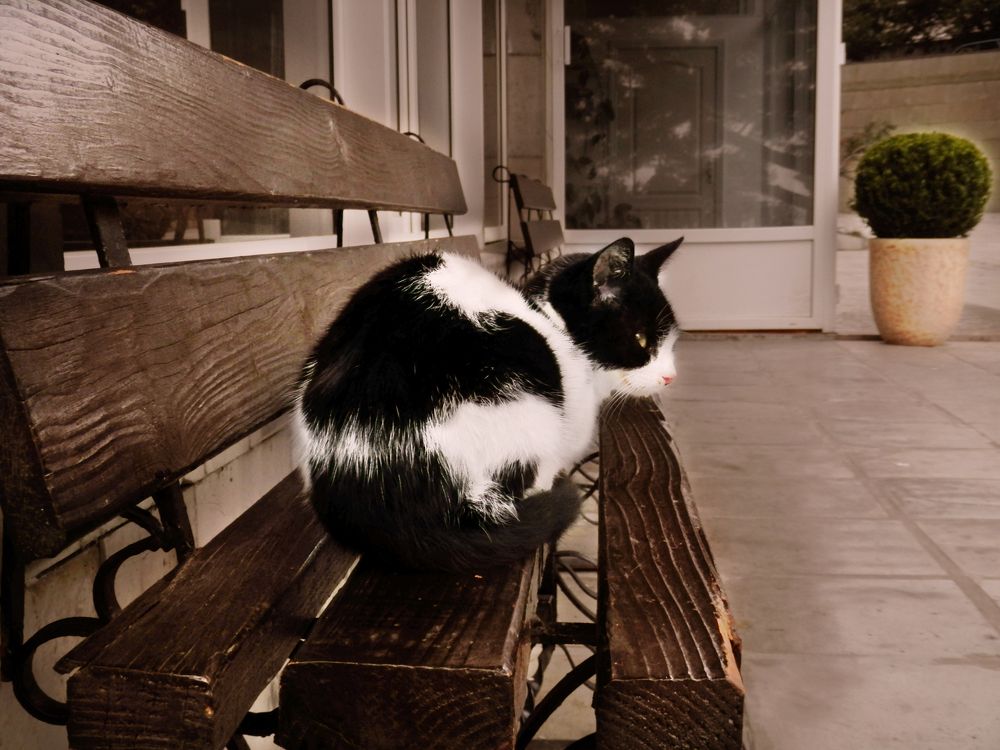 Photograph by Мария