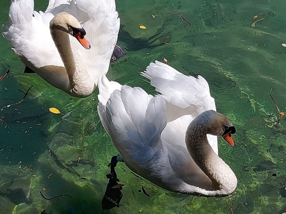 Photograph by Yuliya Durneva