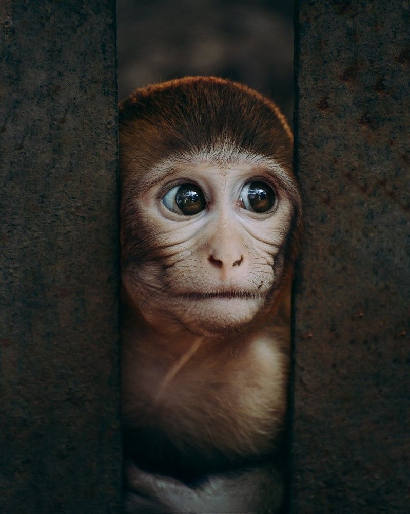 Photograph by Abhishek Yadav