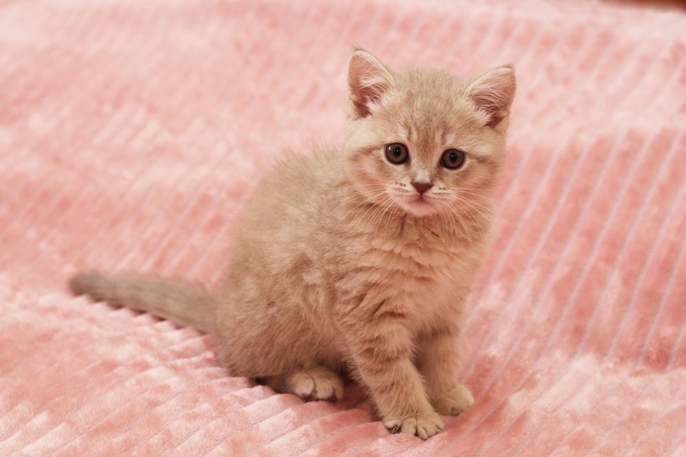 Photograph by Екатерина