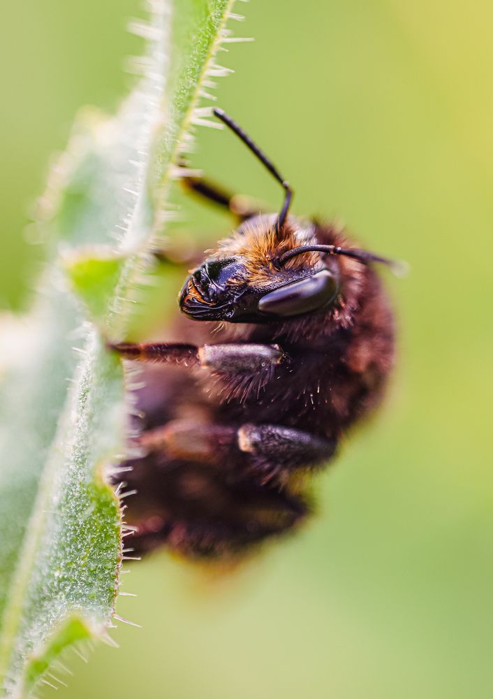 Photograph by Александр Казак