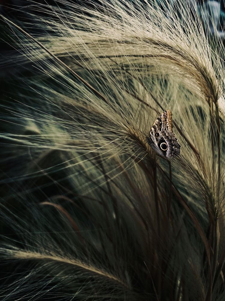 Photograph by Anastasia Astakhova