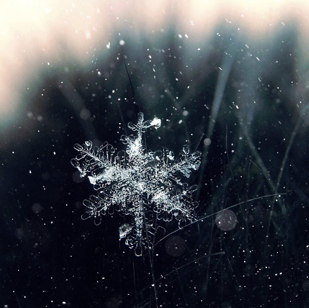 Photograph by Татьяна Галаева