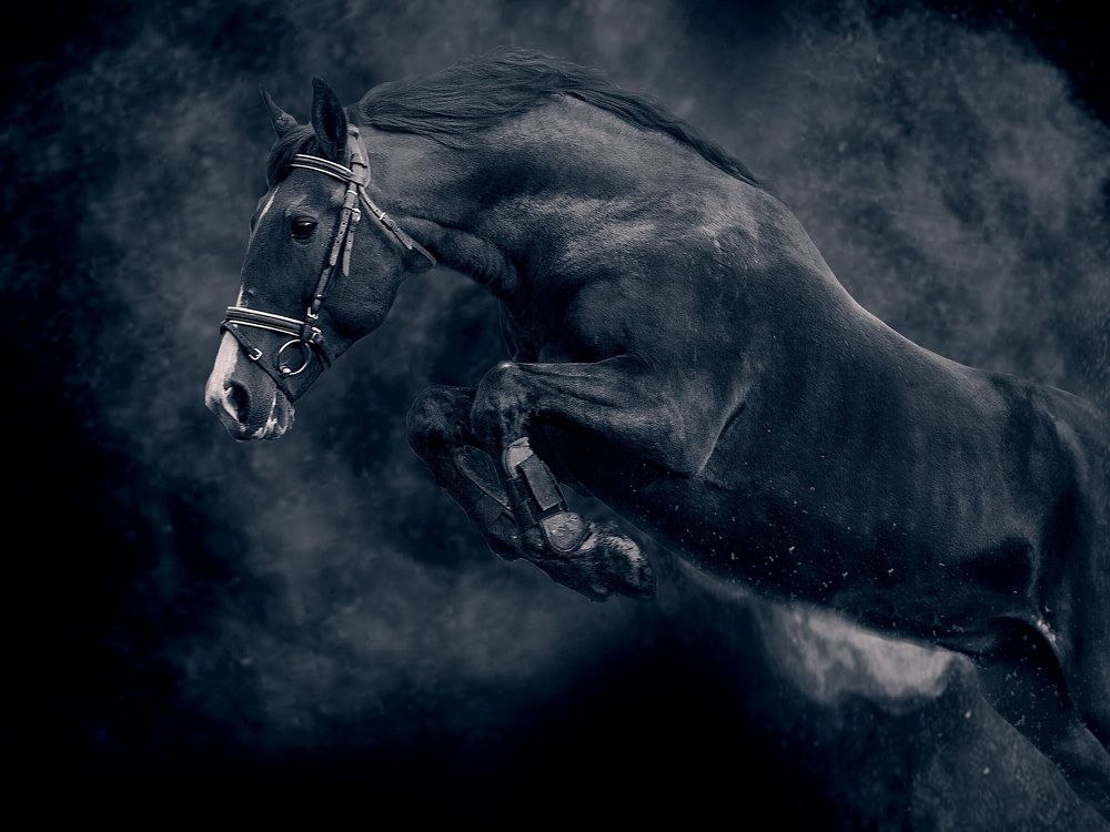 Photograph by Любовь Похабова