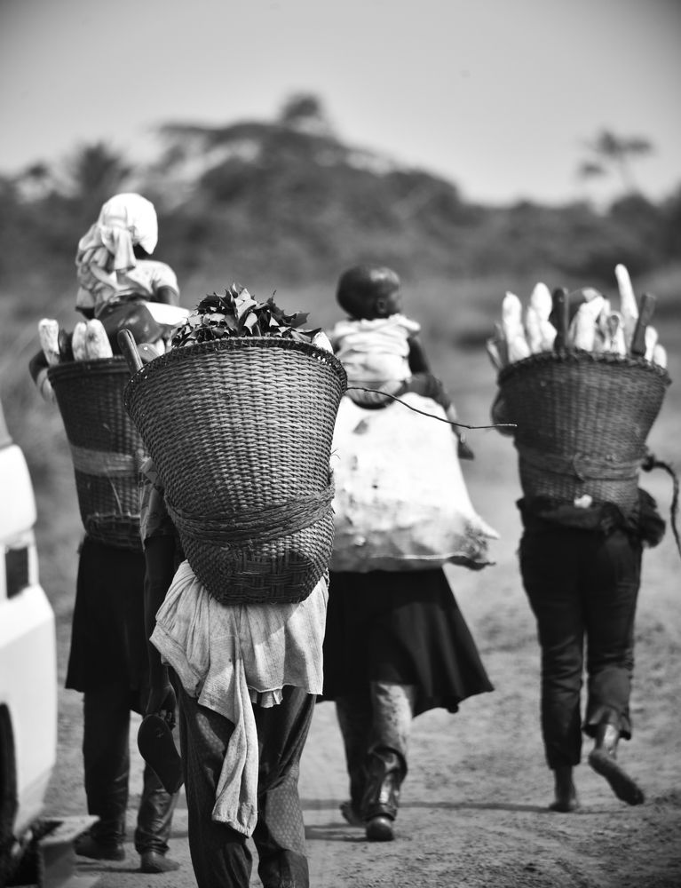 Photograph by Nishuli Mcdonald