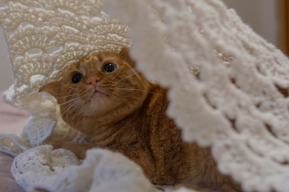 Photograph by Елена Швецова