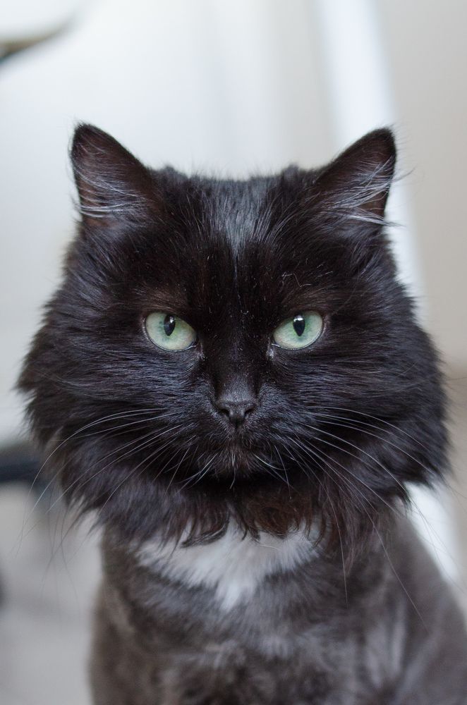 Photograph by Елена Швецова