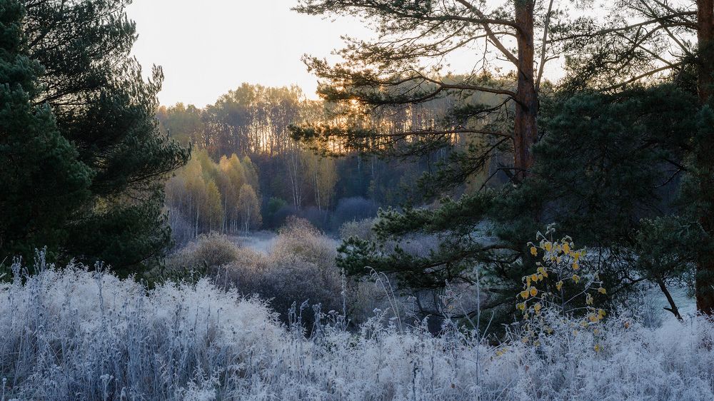 Photograph by Валентин