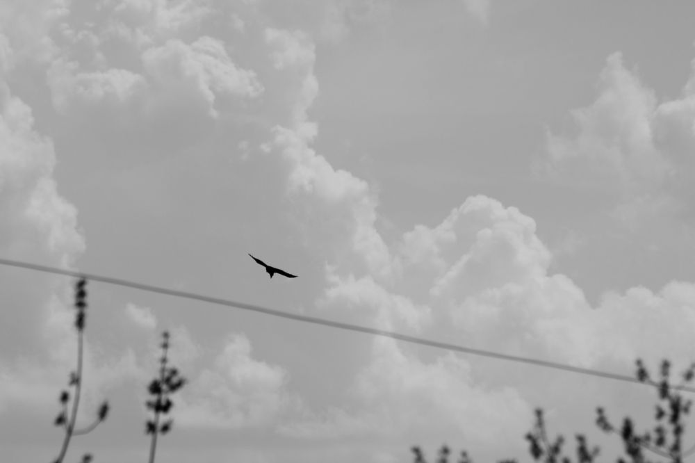 Photograph by Карина Варюхина