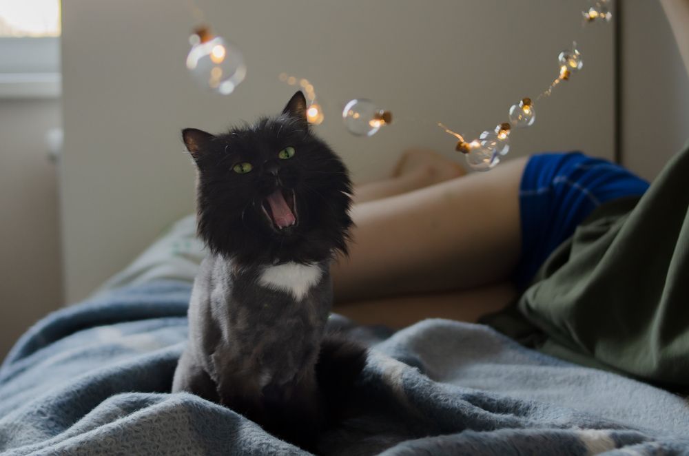 Photograph by Елена Швецова