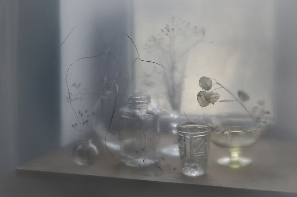 Фотография автора Шипунова Ирина