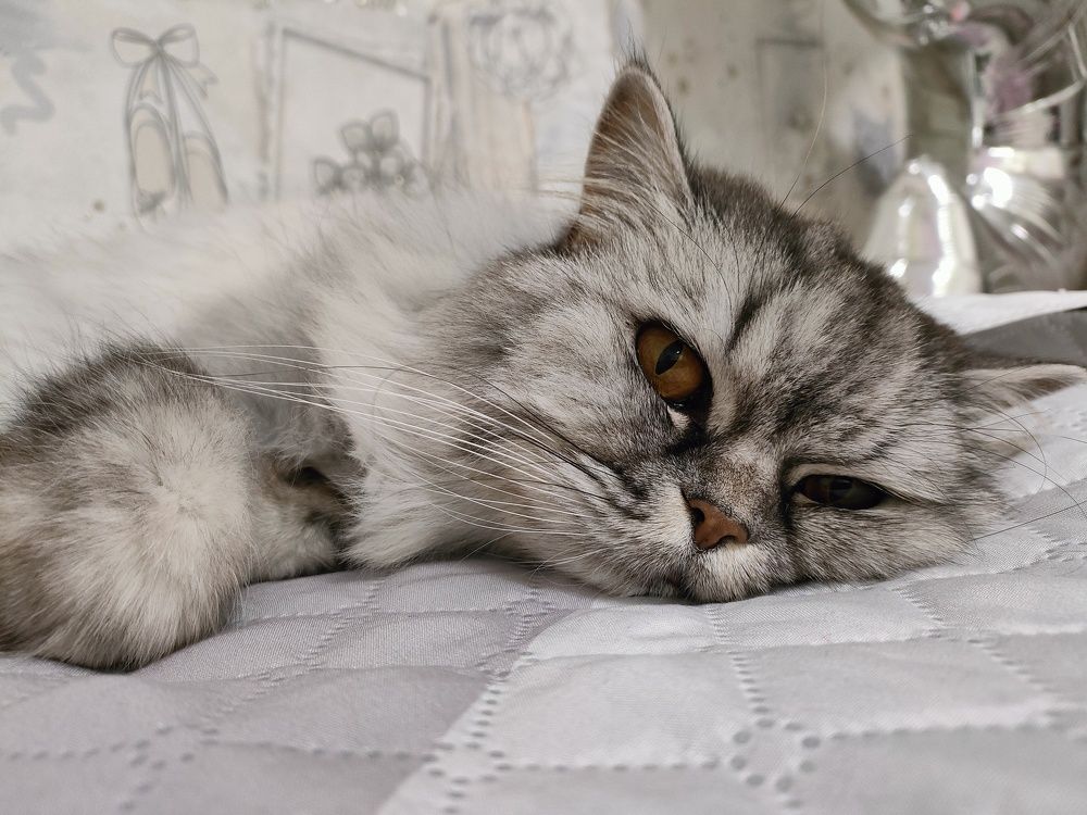 Photograph by Екатерина