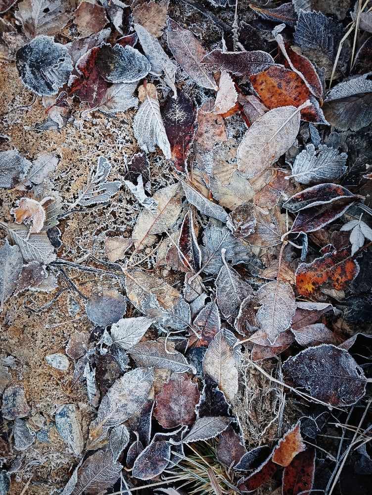 Photograph by Вячеслав Булатов