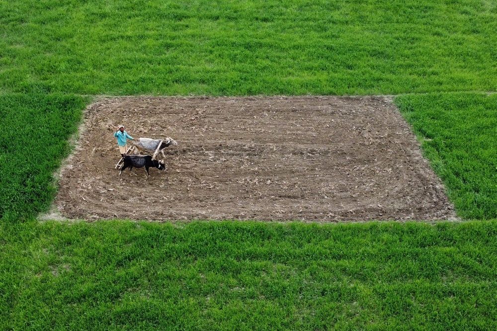 Photograph by Ratul Hasan Joy